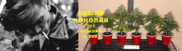 сатива Алексин