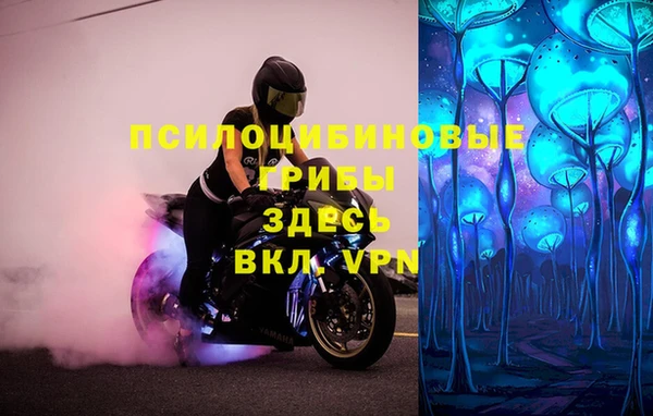 кокс Алзамай