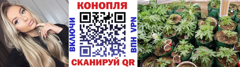 Канабис индика  Лаишево 